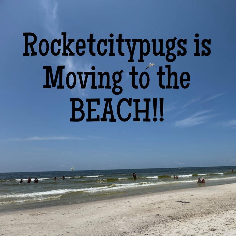 🚀✨Rocketcitypugs is LIVE! ✨🚀 Come shop & share! - Picture 2 of 9